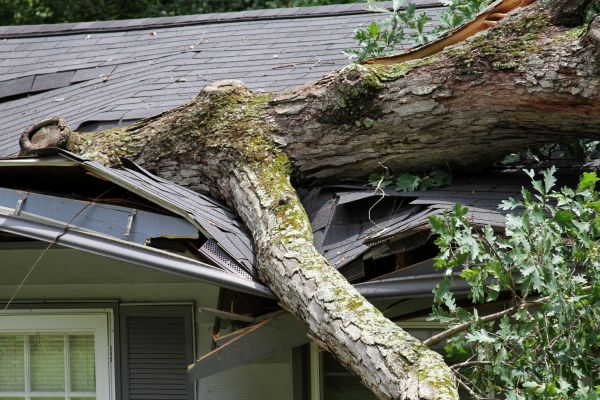 Storm Remediation in Brooksville