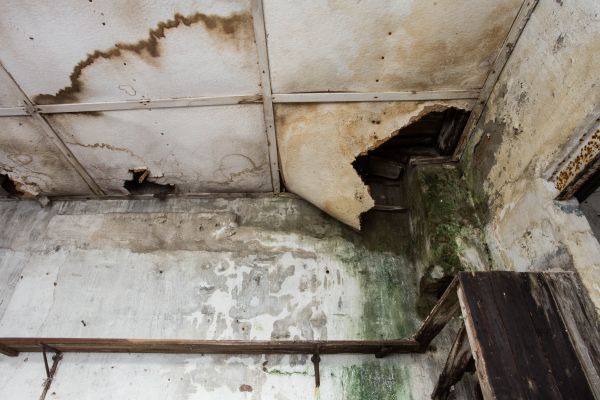 Water Damage Service in Brooksville