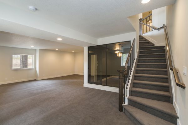 Basement Restoration Service in Brooksville