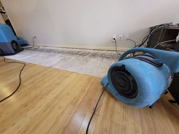 Water Damage Mitigation in Brooksville