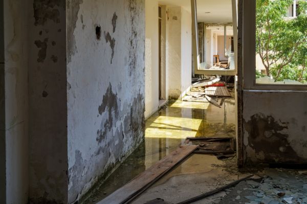 Water Removal Service in Brooksville