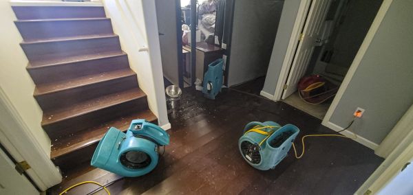 Water Damage Remediation in Brooksville