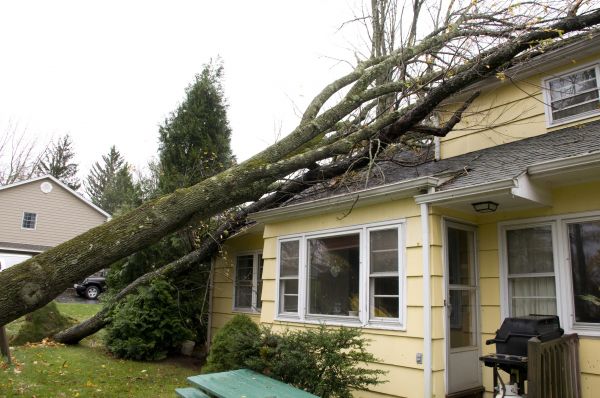 Storm Damage Mitigation in Brooksville