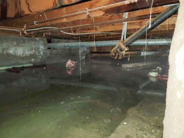 Crawlspace Water Restoration in Brooksville